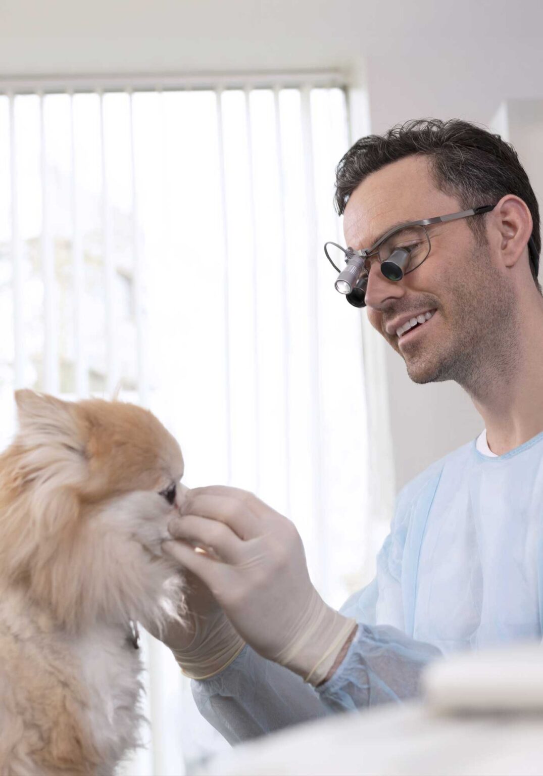 Heinzelmann-Optik-ExamVision-05